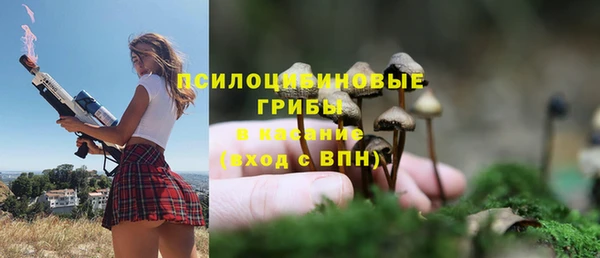 МДПВ Аркадак